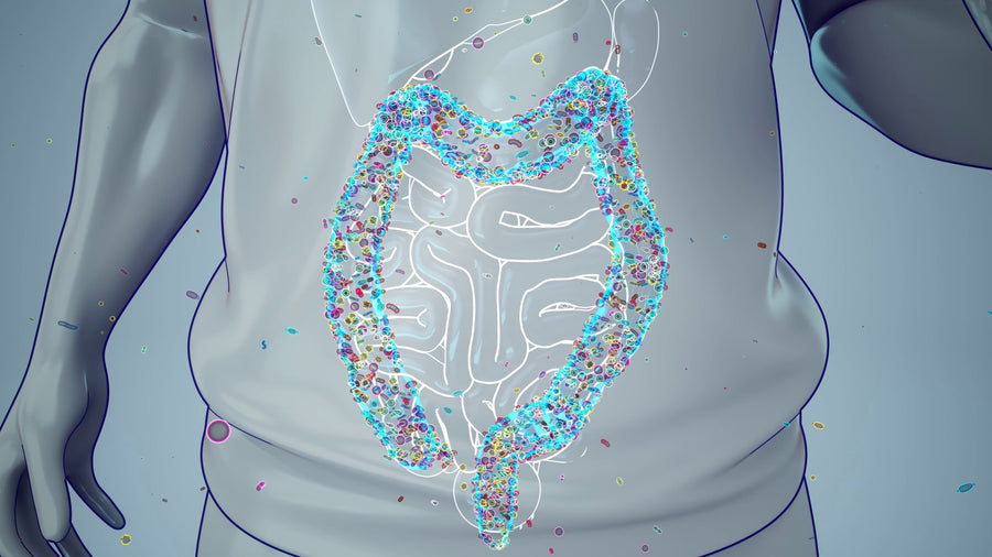 Why GLP-1 Users Feel Bloated and Slow to Digest: What the Evidence Shows