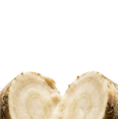 Prebiotic Fiber